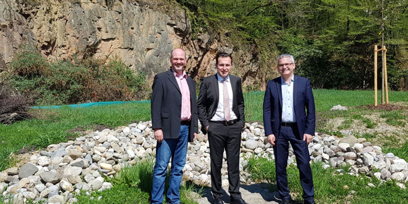 Umsiedlung Eidechsen Albbruck